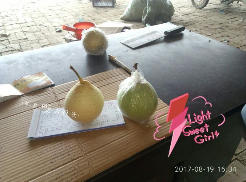 鸭梨500~550g纸加膜