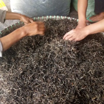普洱茶特级