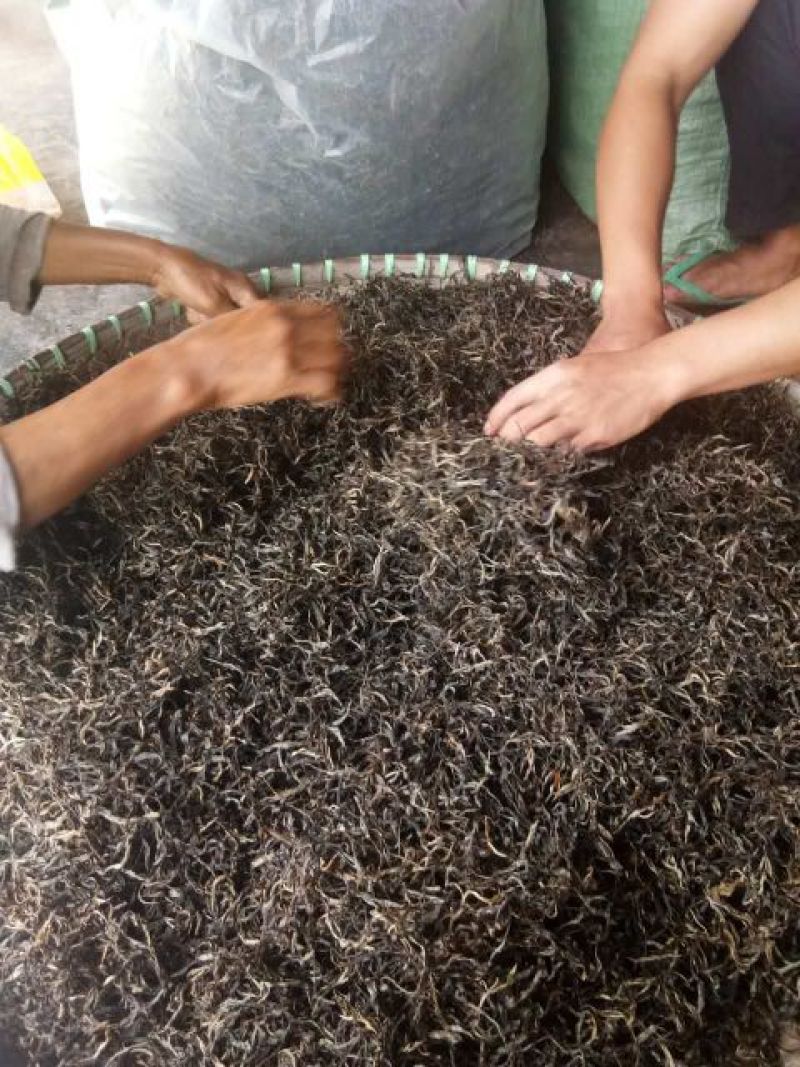 普洱茶特级