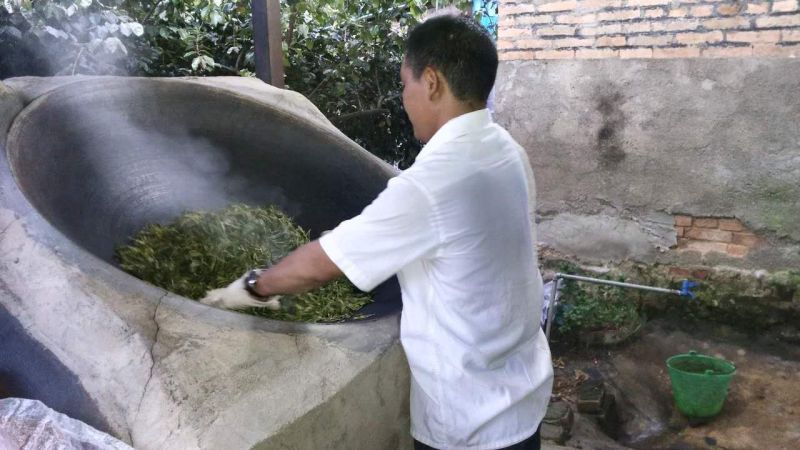 普洱茶特级
