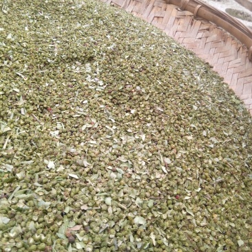 九叶青花椒一级干