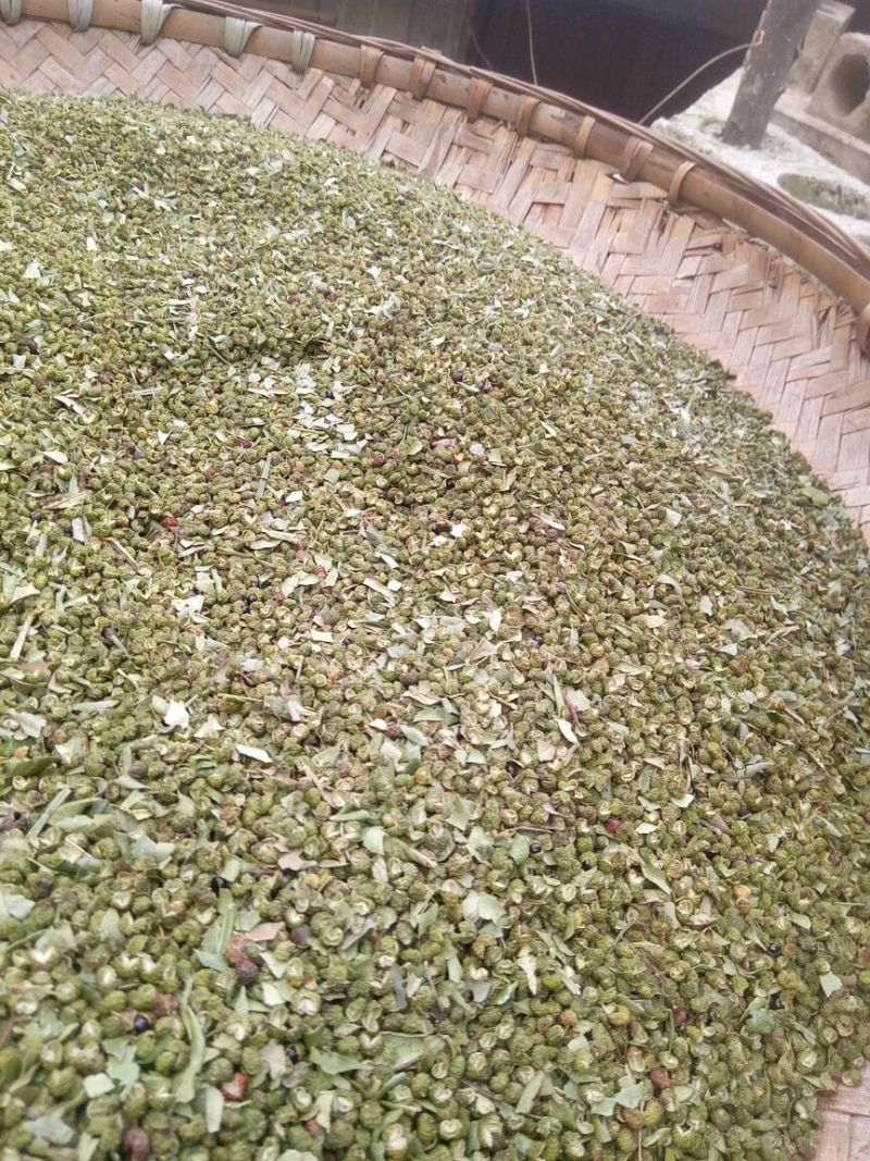 九叶青花椒一级干