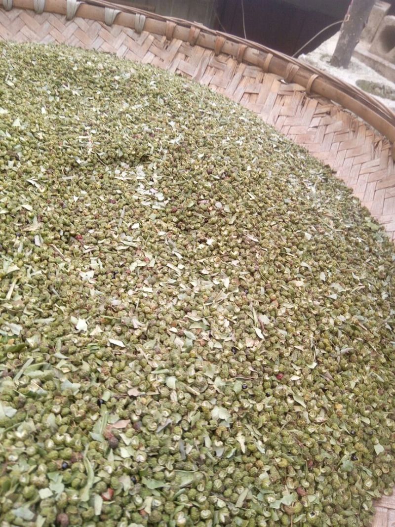 九叶青花椒一级干