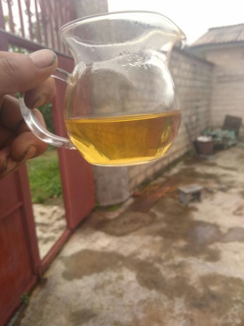 老树茶一级