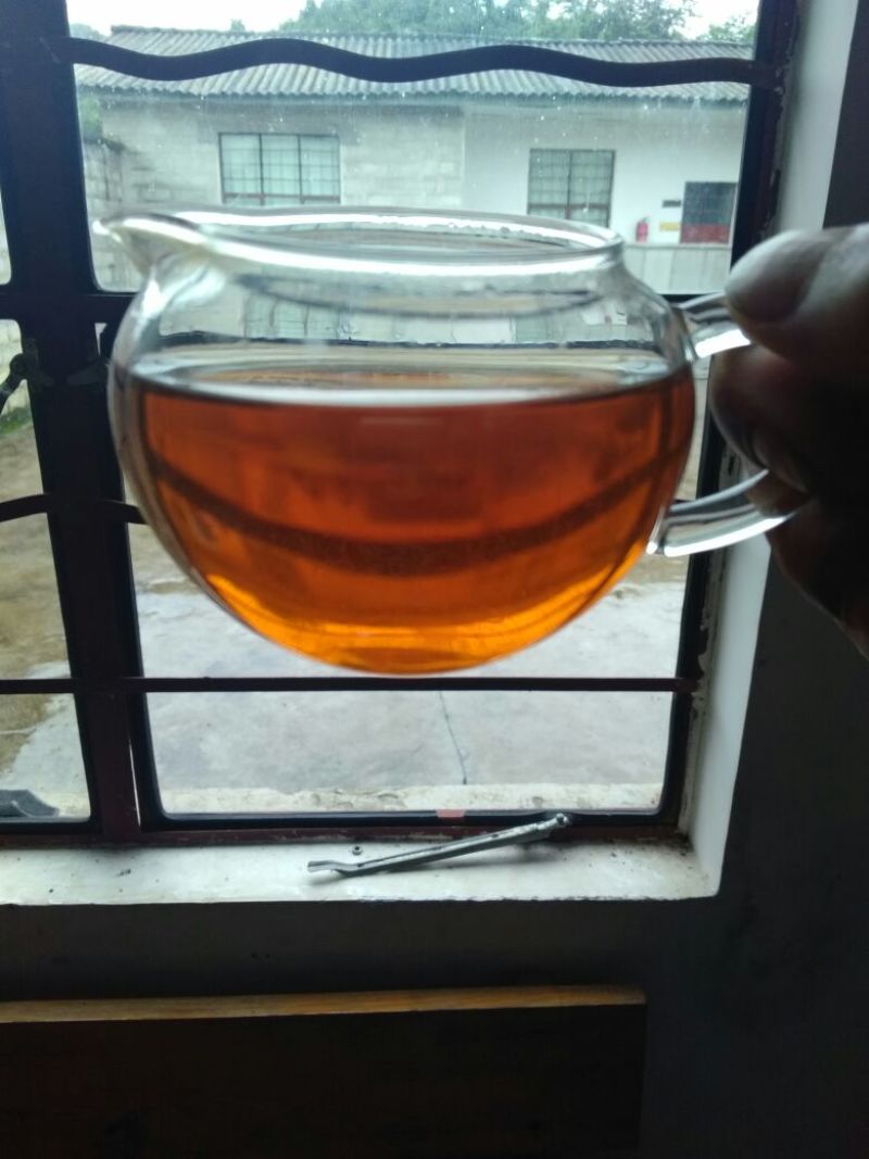 老树茶一级