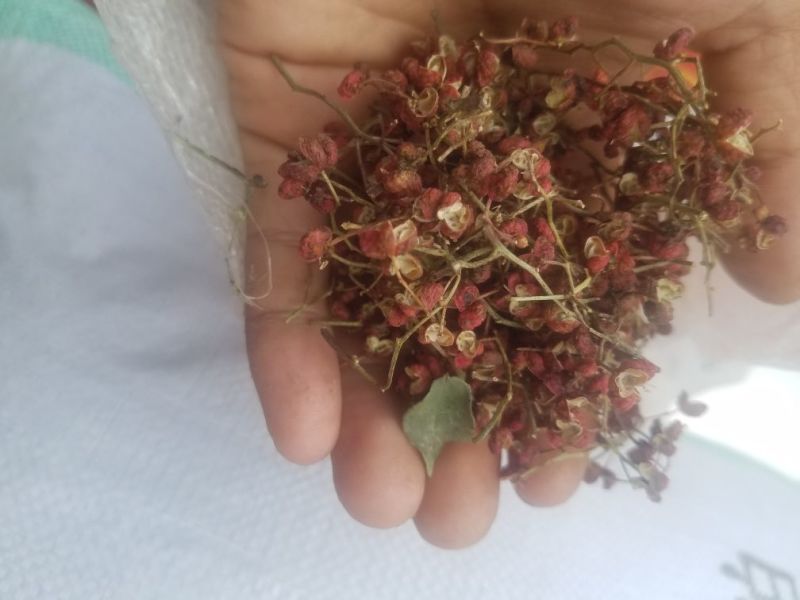 大红袍花椒