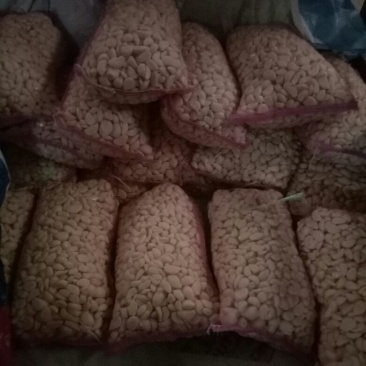 蒜米金品质，行天下