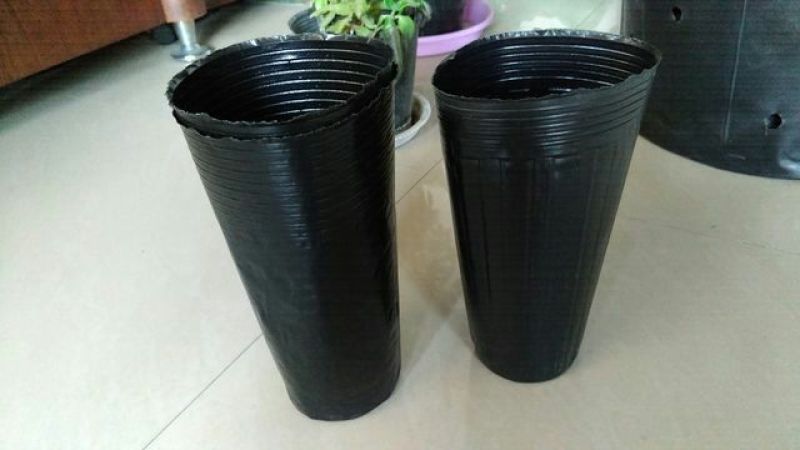 营养钵育苗钵营养碗育苗碗黑碗橘苗专用杯