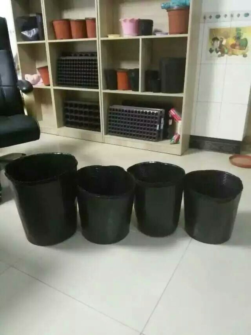 营养钵育苗钵营养碗育苗碗黑碗橘苗专用杯