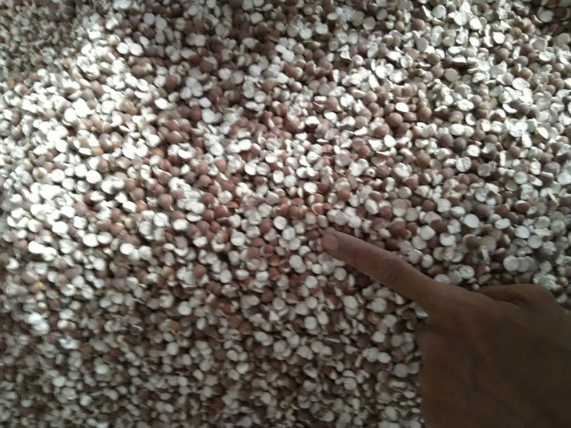 芡实大粒中粒质量可以