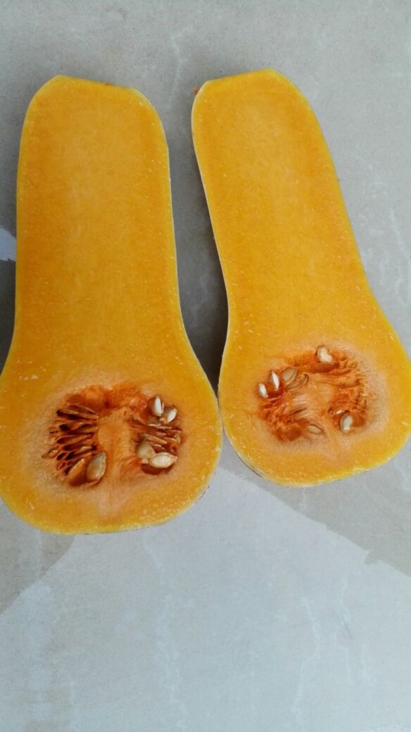 奶油南瓜（已经售完）