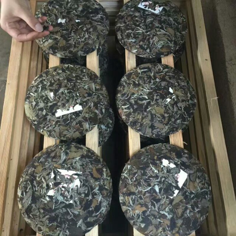 普洱茶一级