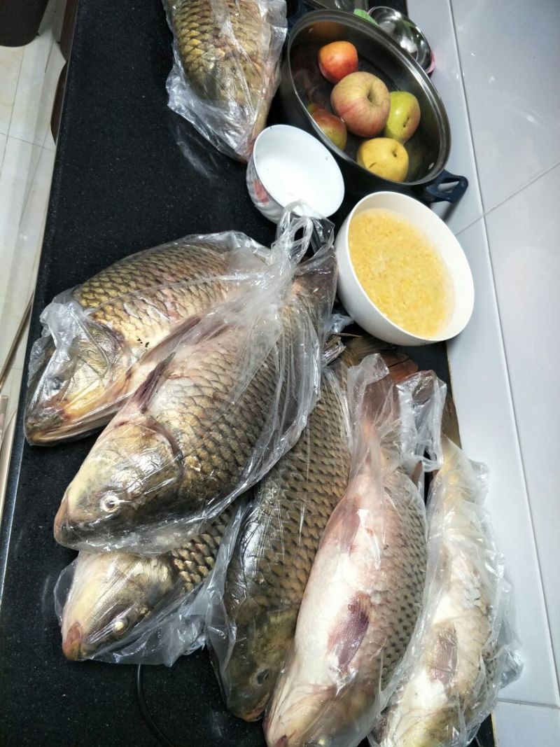 鲤鱼食用3公斤以上