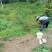 刺梨鲜