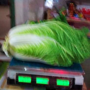 大白菜，甘蓝代收代办。