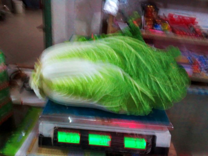 大白菜，甘蓝代收代办。