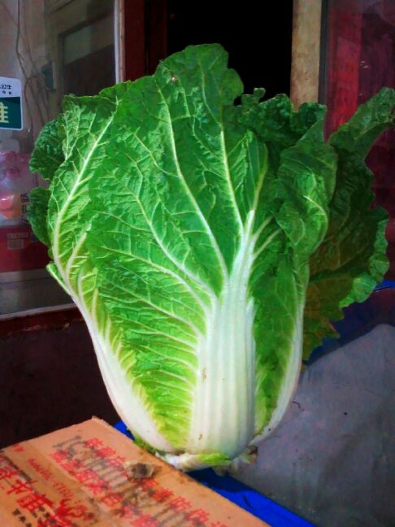 大白菜，甘蓝代收代办。