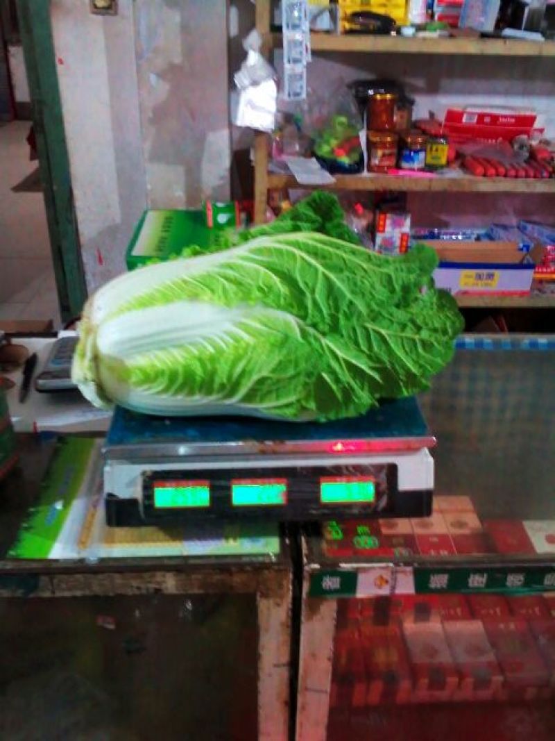 大白菜，甘蓝代收代办。