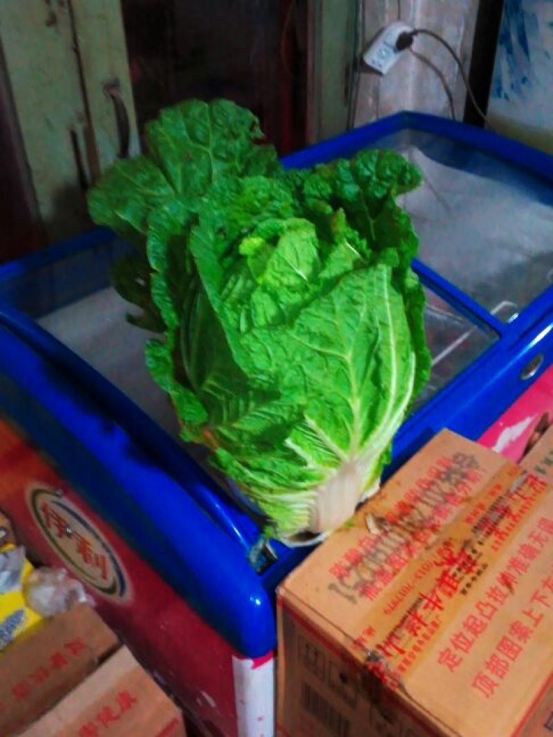 大白菜，甘蓝代收代办。