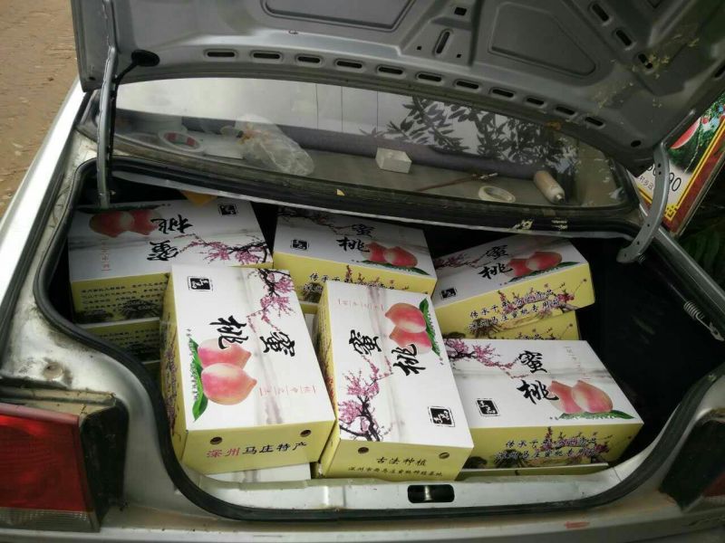 深州蜜桃80mm以上