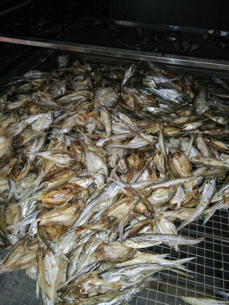 鱼干烤鱼干