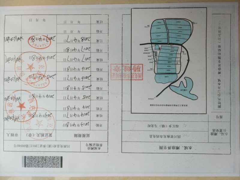 野生甲鱼2.5~3斤