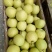 梨光果300~350g