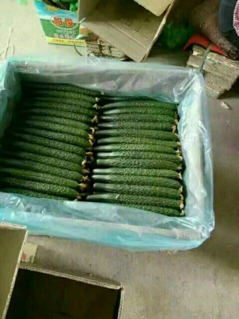 密刺黄瓜22~25公分干花带刺