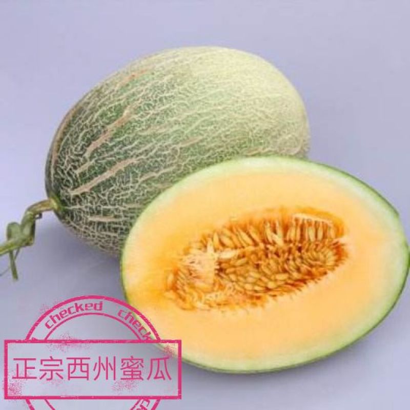 西州蜜瓜5斤以上椭圆形