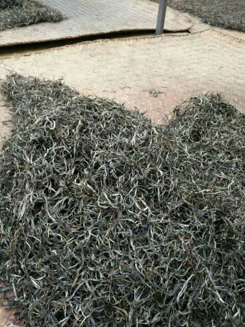 普洱茶一级