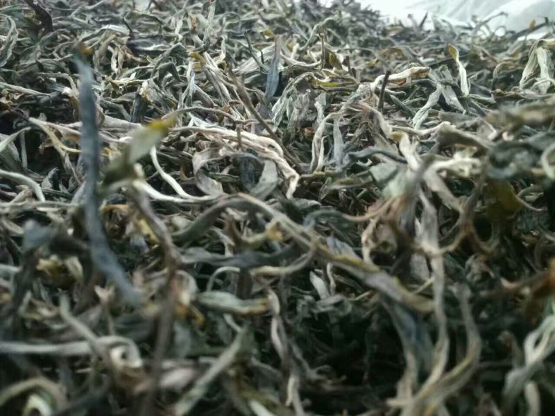 普洱茶一级