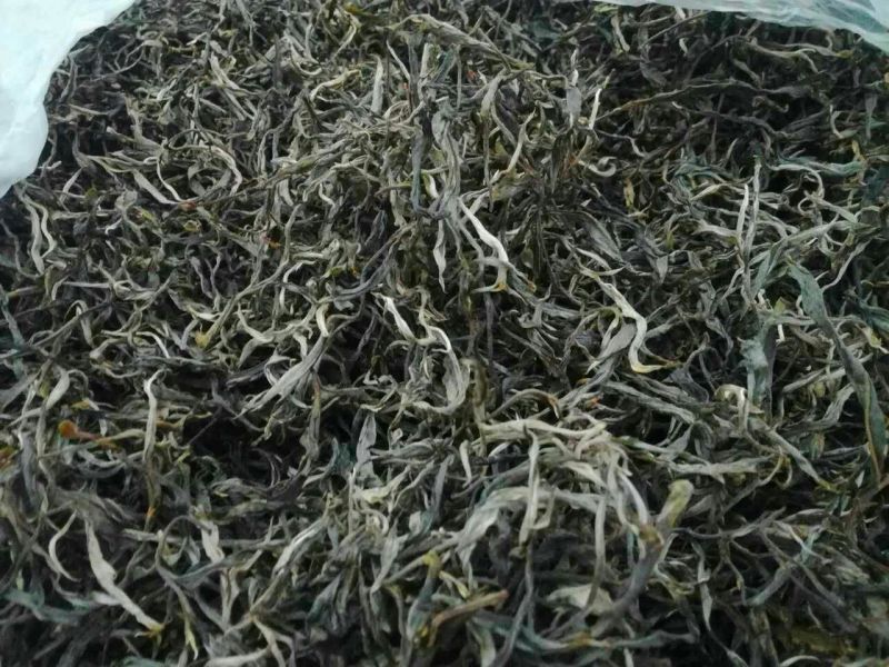 普洱茶一级