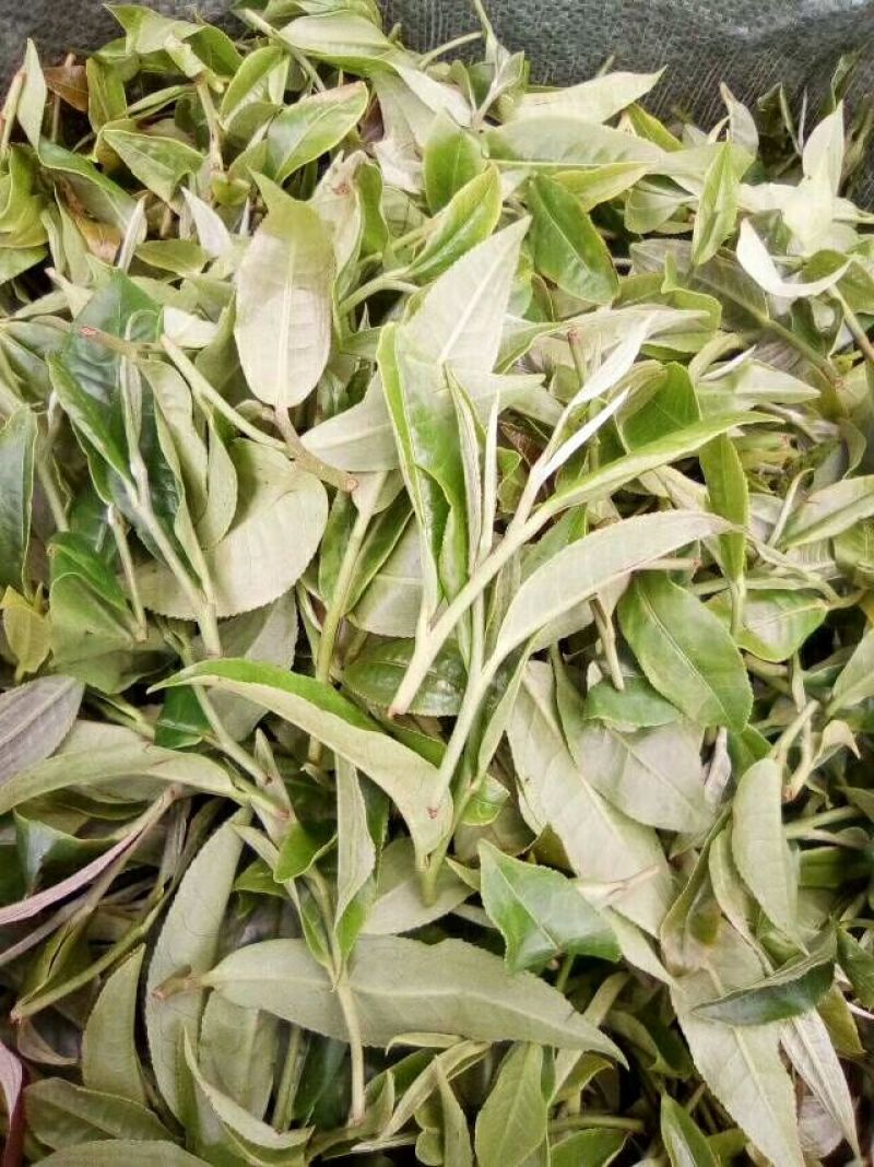 普洱茶一级