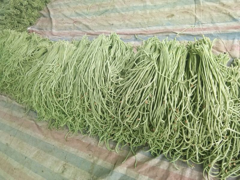 豇豆60厘米以上