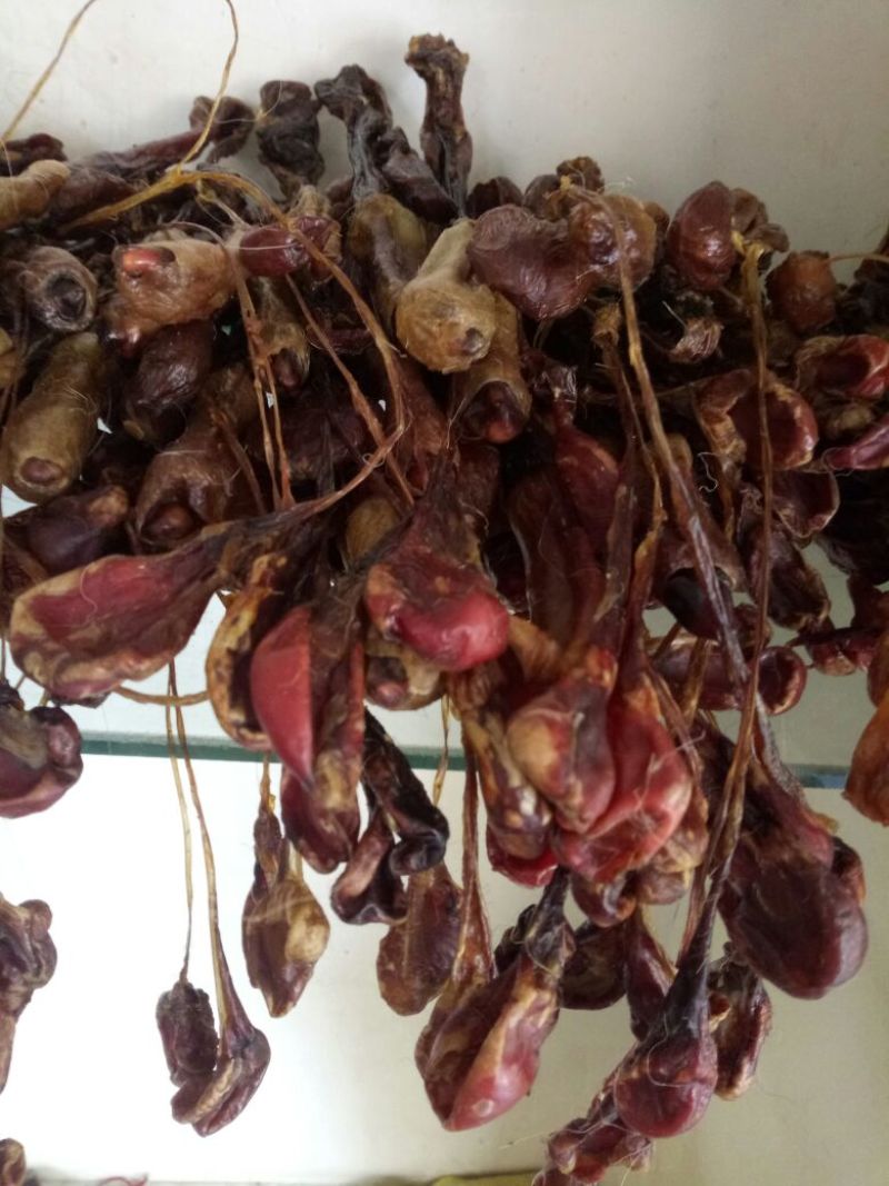 狗肾无硫干货散装泡酒药用都可以2支起包邮