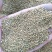 草木樨种子发芽率85%以上，货源充足，品质保障