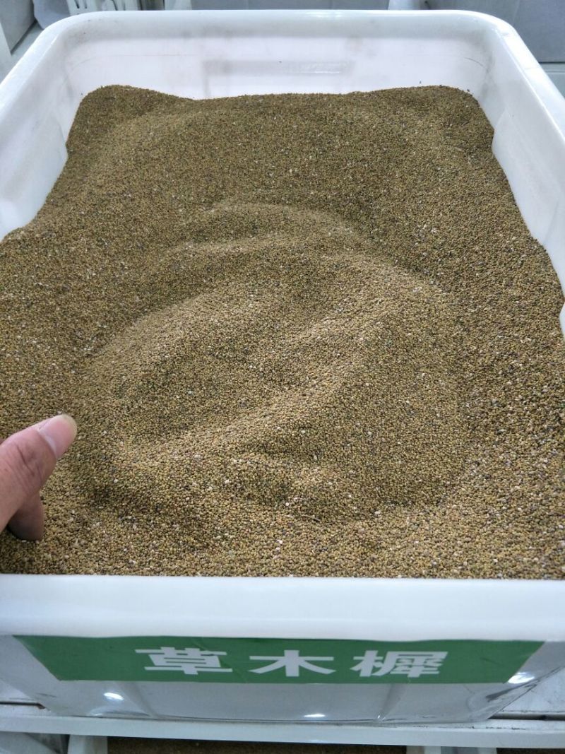草木樨种子发芽率85%以上，货源充足，品质保障
