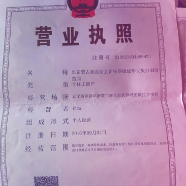 沙棘苗万亩基地货量充足对接各大电商平台代发代卖