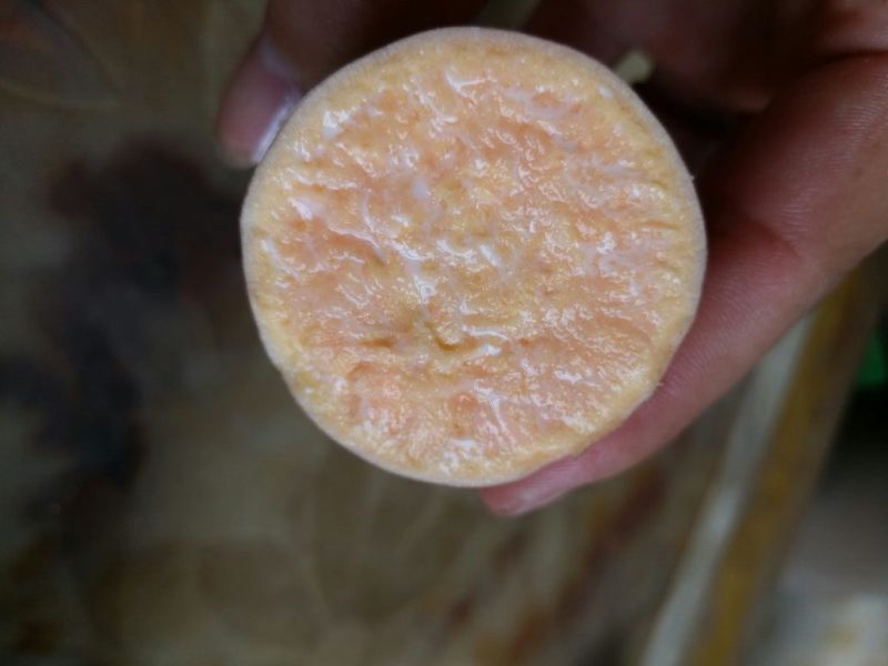 龙薯9号黄心2两以上