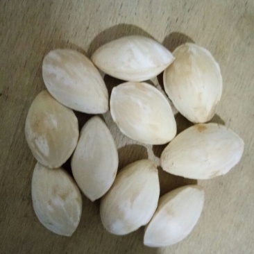 银杏果