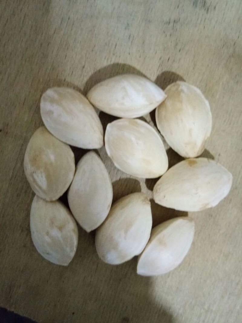 银杏果