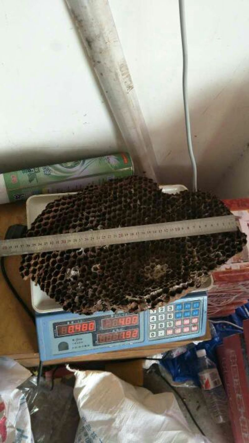 蜂巢