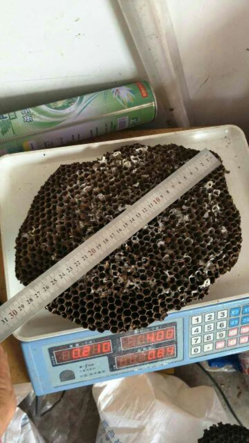 蜂巢