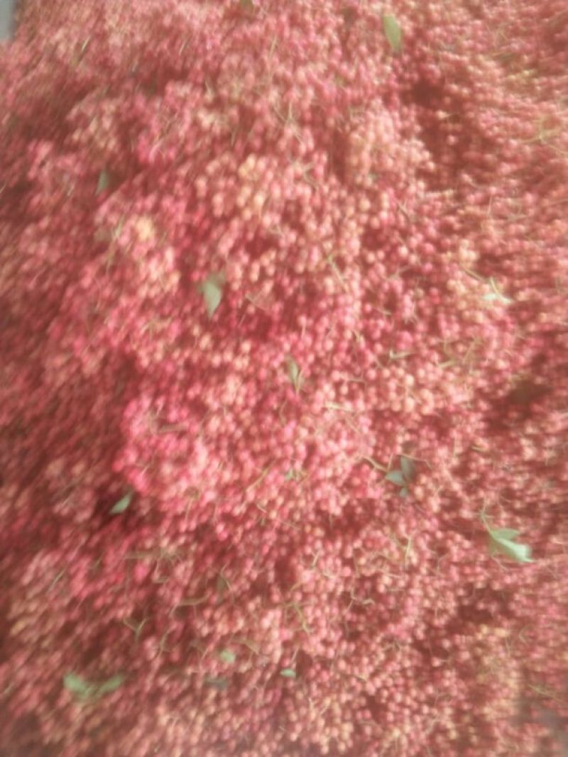 花椒种子