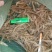 河虾冰鲜虾26~30只/kg