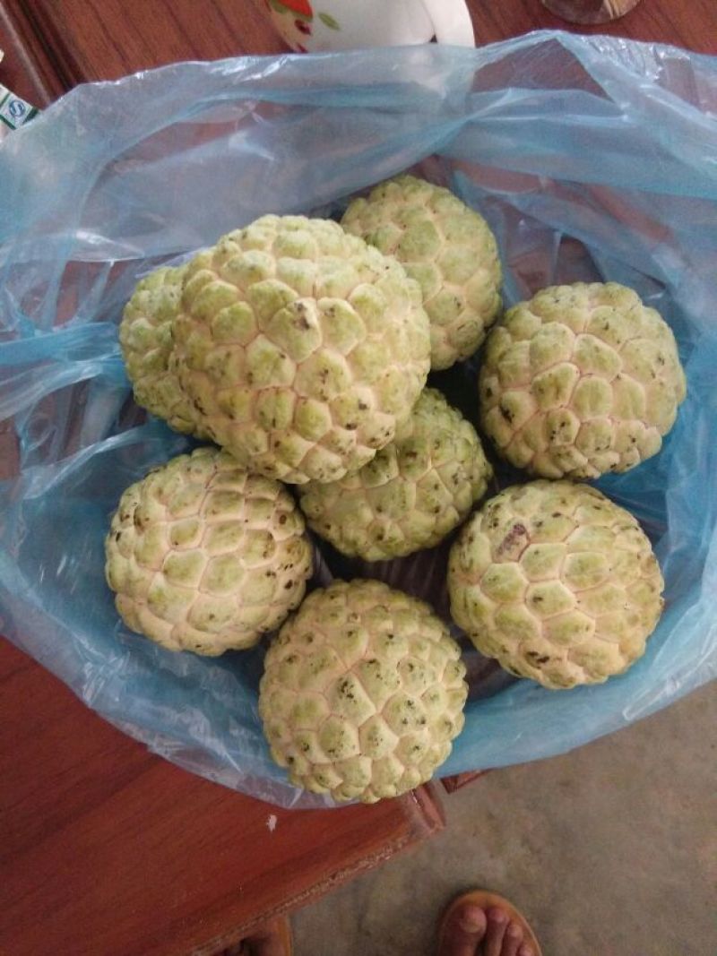 释迦一级150~200g