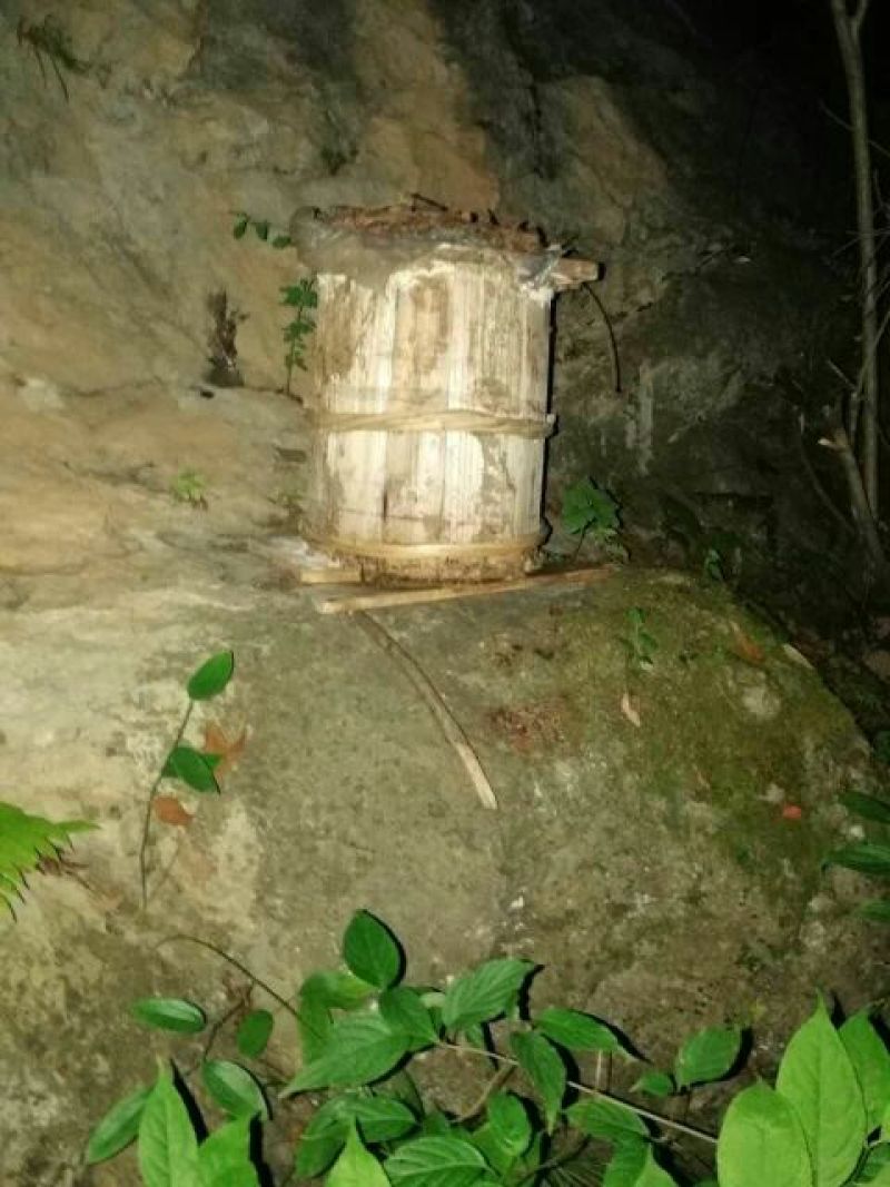 中蜂老式养法假一赔十