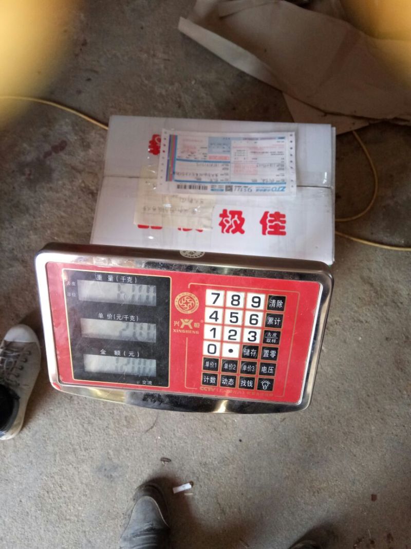 晚秋黄梨无公害绿色食品