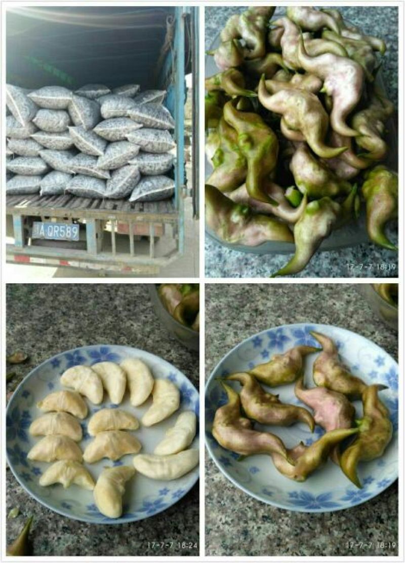 菱角家菱（目前有老菱角嫩菱角统货）