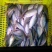 池鲤鱼2两食用